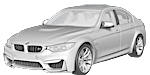 BMW F80 P313E Fault Code